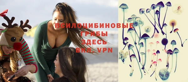 СК Нея