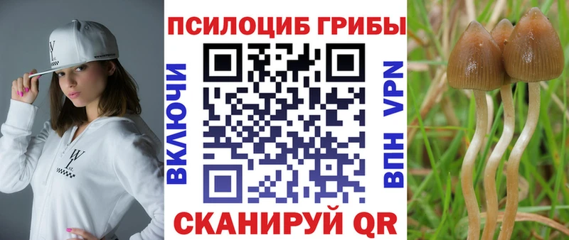 Псилоцибиновые грибы Magic Shrooms  Купить  Нижнекамск 