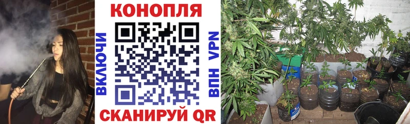 Купить закладки  Нижнекамск  Марихуана VHQ 